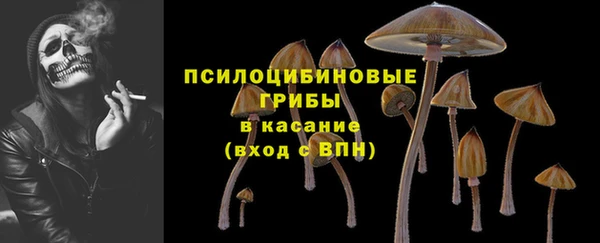 spice Белоозёрский