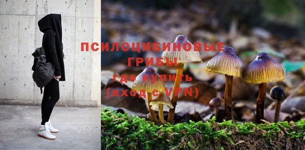 spice Белоозёрский
