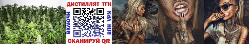 ТГК концентрат  Губкинский 