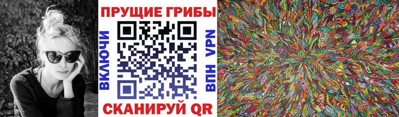 Галлюциногенные грибы GOLDEN TEACHER  цена наркотик  Губкинский 