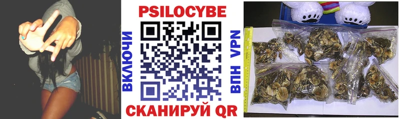 Галлюциногенные грибы Psilocybine cubensis Губкинский