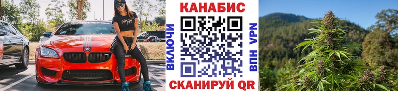 Марихуана гибрид  Губкинский 